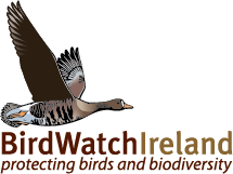 birdwatch-ireland-logo