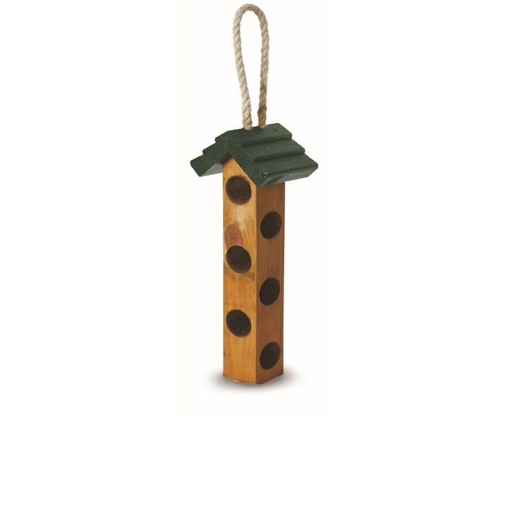 Suet Log Feeder High Energy Suet Logs Pack 2 Packs Birdwatch
