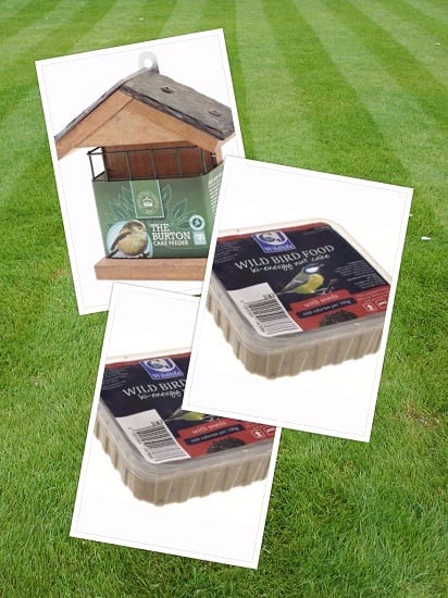 Kew Burton Square Cake Feeder 2 Hi Energy Nut Cakes Birdwatch