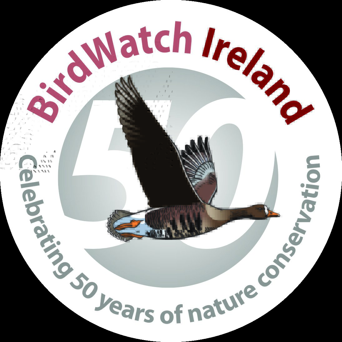 birdwatch-ireland-fiftieth-anniversary-logo