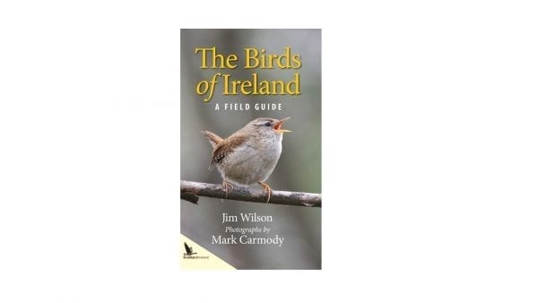 Birds of Ireland-A field Guide