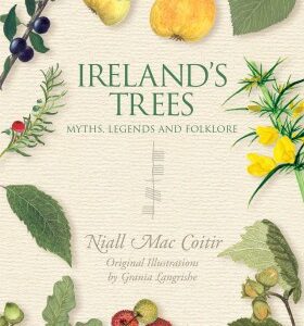Irelands Trees: Myths, Legends & Folklore (Soft Cover)