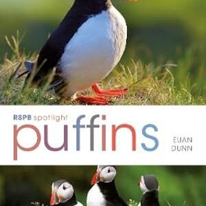 RSPB Spotlight Puffins