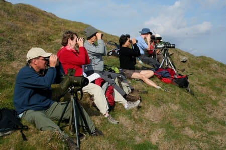 six-people-sitting-down-on-a-hillside-and-birdwatching-to-sea