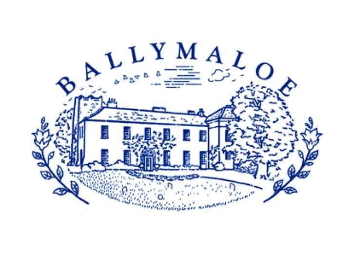 Logo-for-The-Ballymaloe-Group