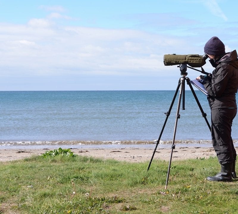 Birdwatcher-looking-through-telescope