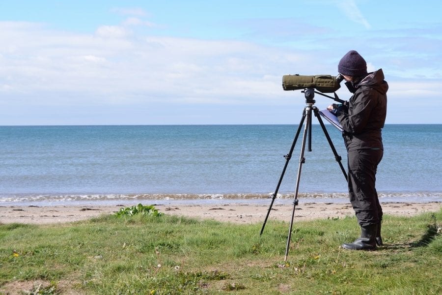 Birdwatcher-looking-through-telescope