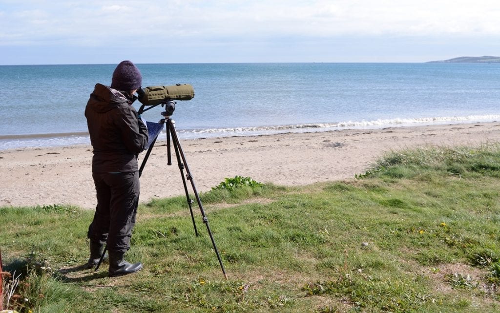 Birdwatcher-looking-through-telescope