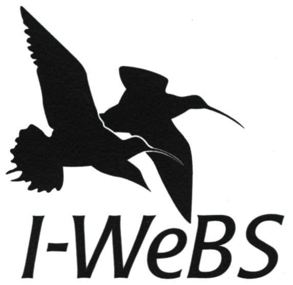 Irish-Wetland-Bird-Survey-Logo