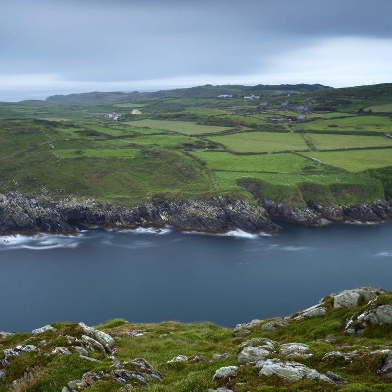 landscape-cape-clear-island-bird-observatory