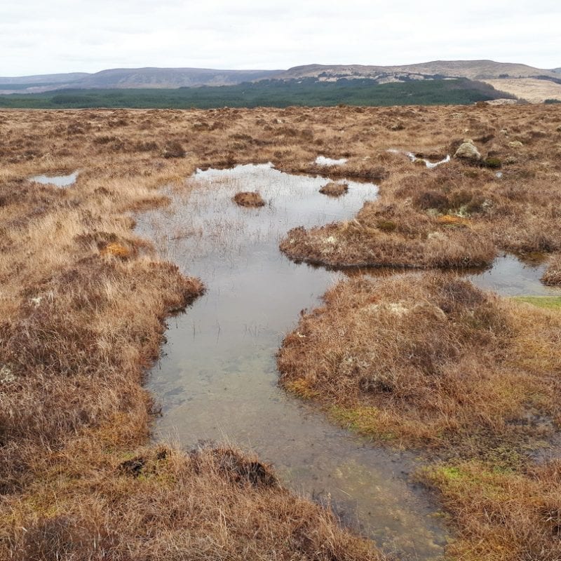 bog-pools-on-blanket-bog-at-fiddandarry-ox-mountains