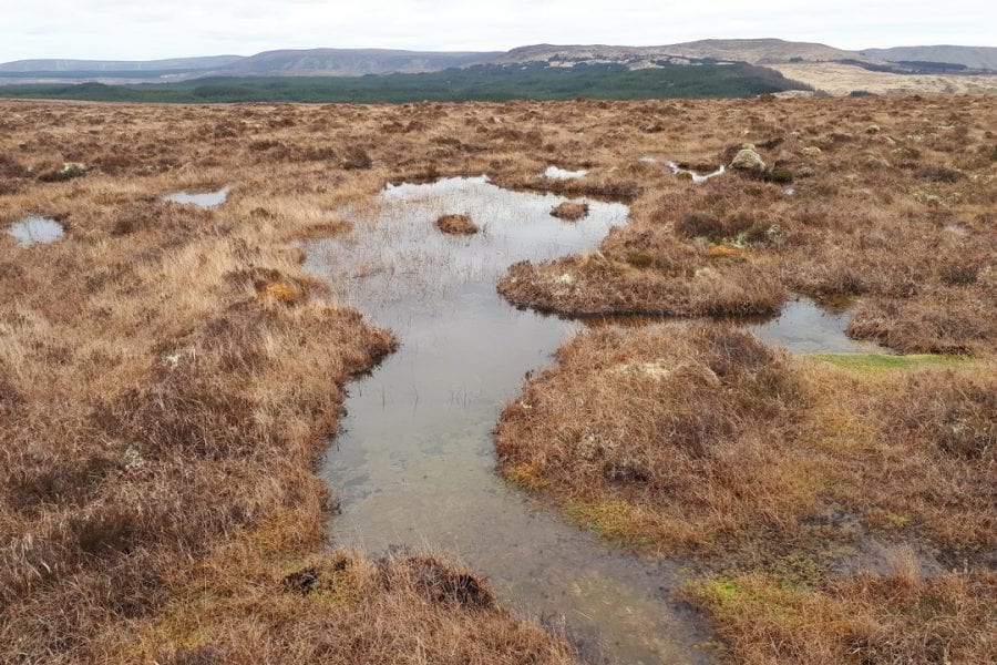 bog-pools-on-blanket-bog-at-fiddandarry-ox-mountains