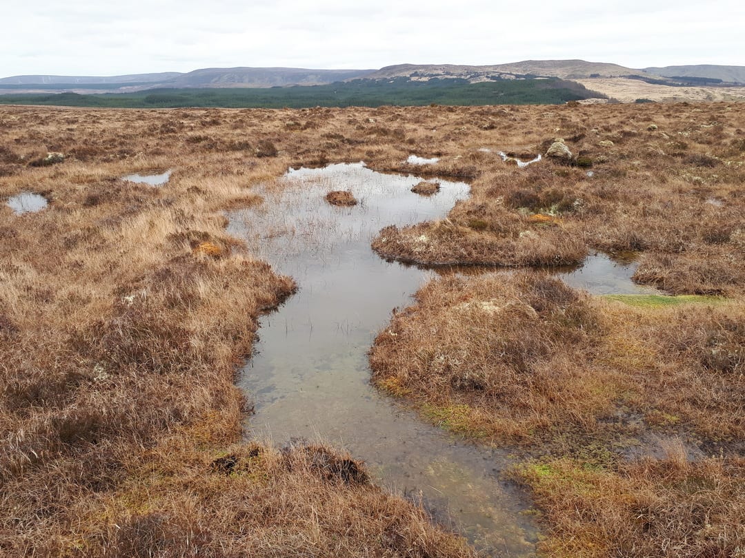 bog-pools-on-blanket-bog-at-fiddandarry-ox-mountains