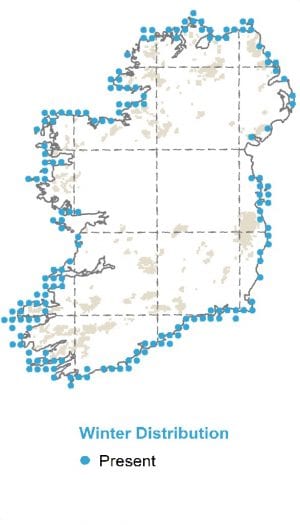 northern fulmar map