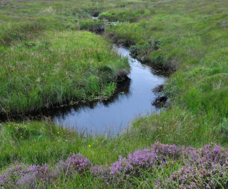 Bog-stream-on-pettigo-plateau