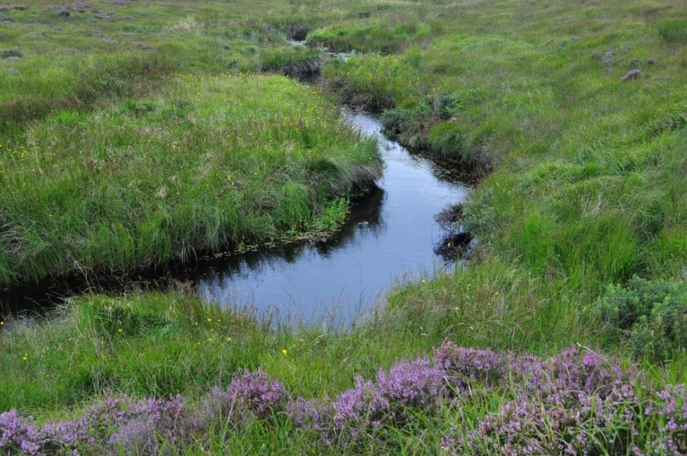 Bog-stream-on-pettigo-plateau