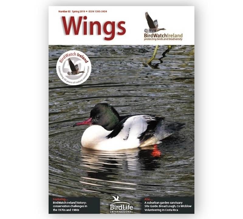 Wings-92-Landscape