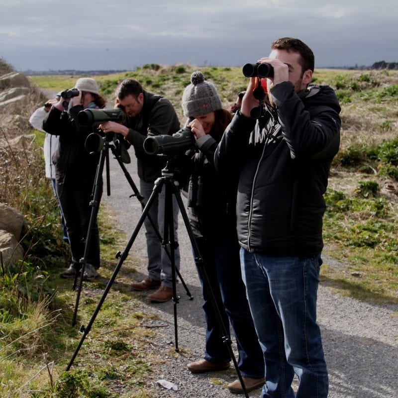 Volunteers-looking-through-optics-at CBS-and-Iwebs-Workshop