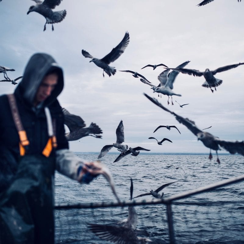 fisherman-surrounded-by-seagulls