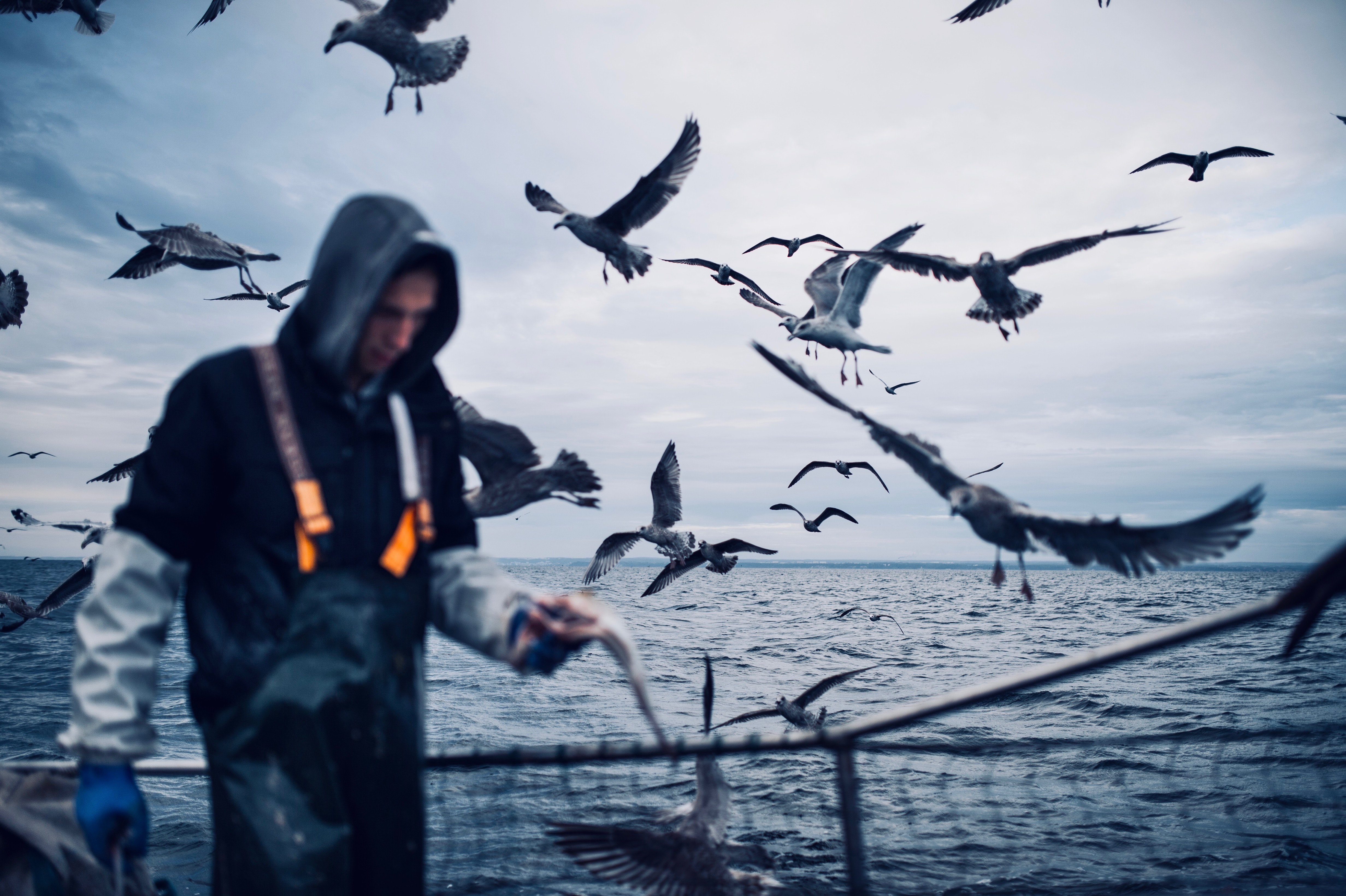 fisherman-surrounded-by-seagulls