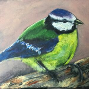 Blue Tit 5pk - Avril Stanley