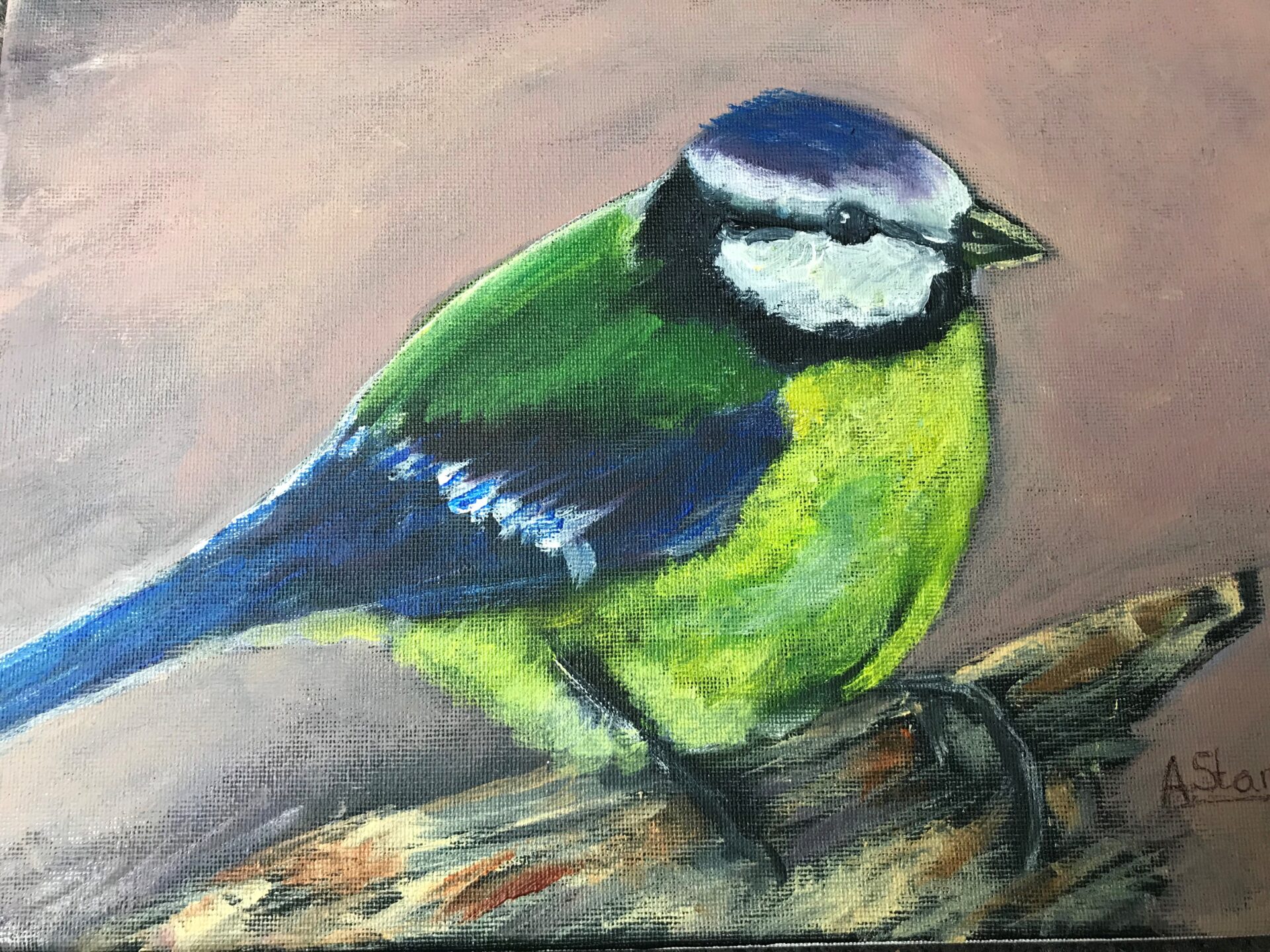 Avril Stanley New Blue Tit