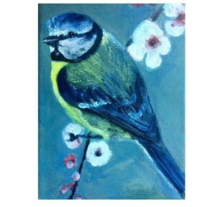 Blue Tit 5pk - Avril Stanley