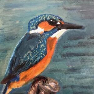 Kingfisher - Avril Stanley