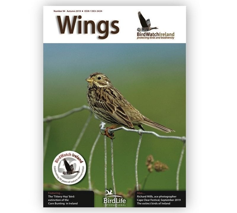 Wings-magazine-publication-Corn-Bunting -picture-on-cover