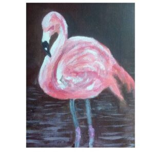 Flamingo 5pk - Avril Stanley