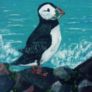 Puffin - Avril Stanley
