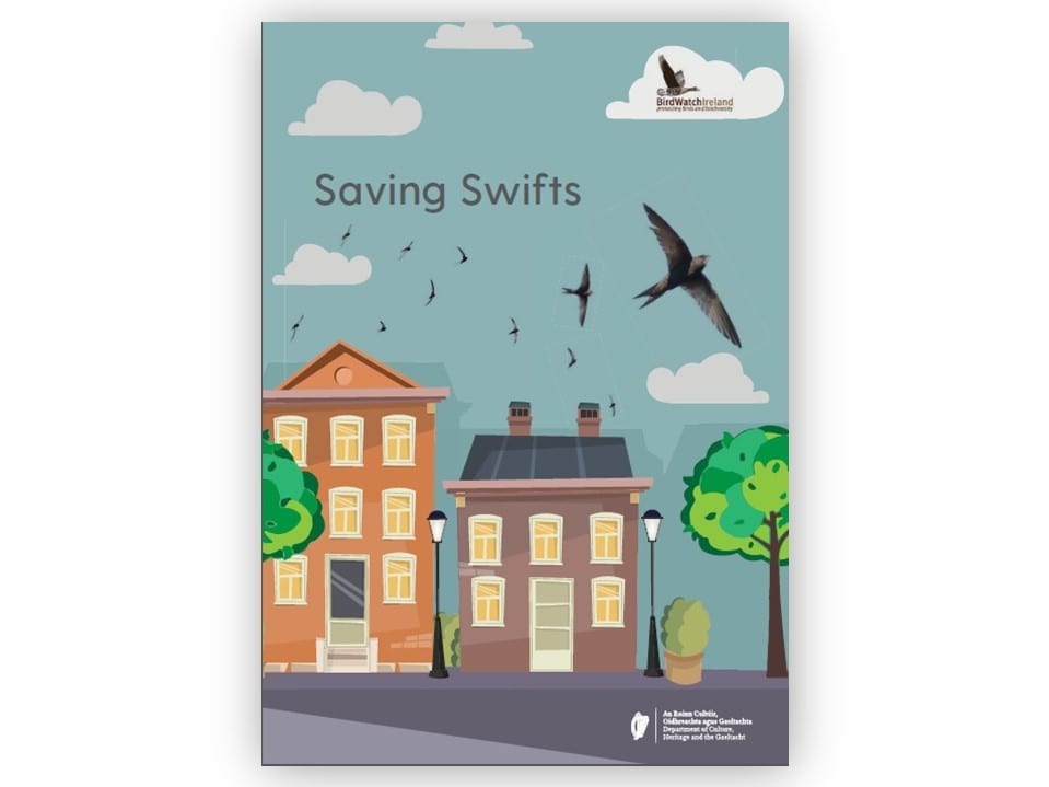 Blue-sky-swifts-flying-over-red-brick-houses