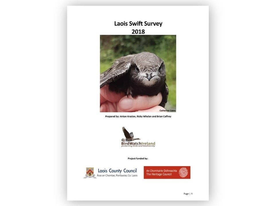 Report-Cover-Laois-Swift-Survey-2018