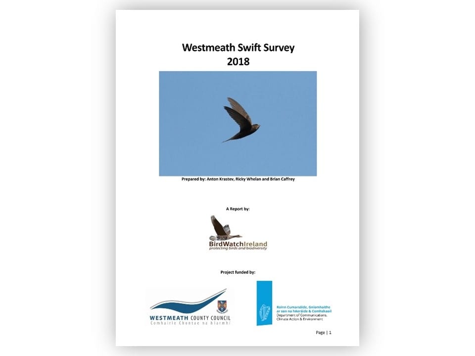 Report-Cover-Westmeath-Swift-Survey-2018