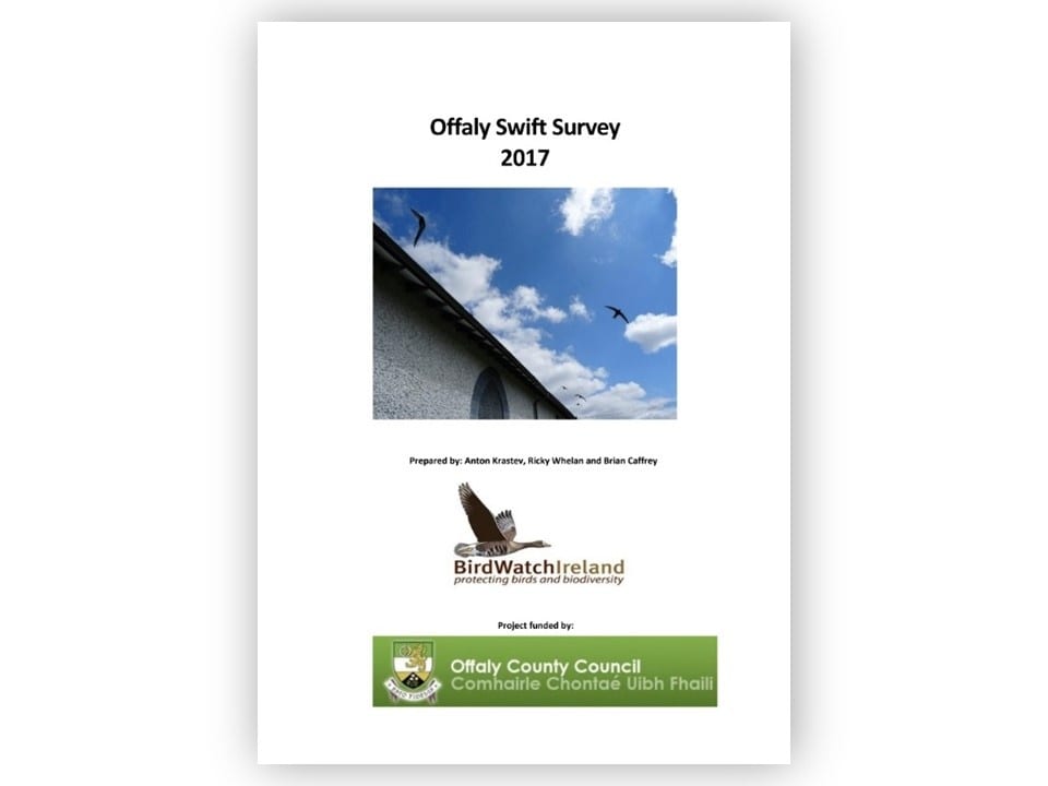 Report-Cover-Offaly-Swift-Survey-2018