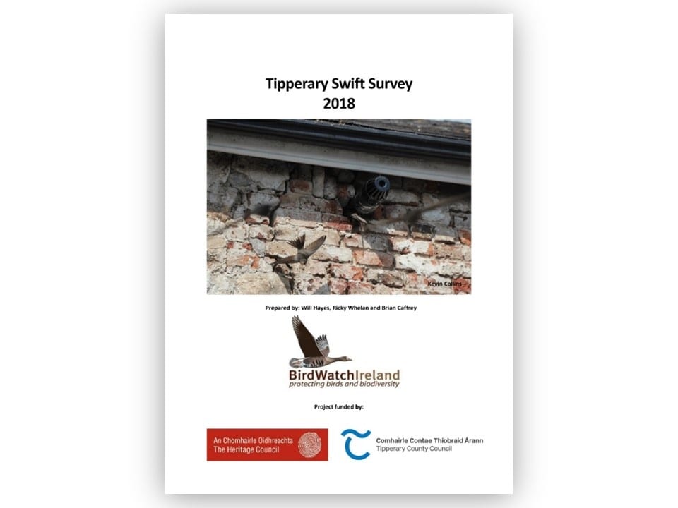 Report-Cover-Tipperary-Swift-Survey-2018