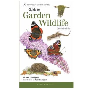 Guide to Garden Wildlife by Richard Lewington