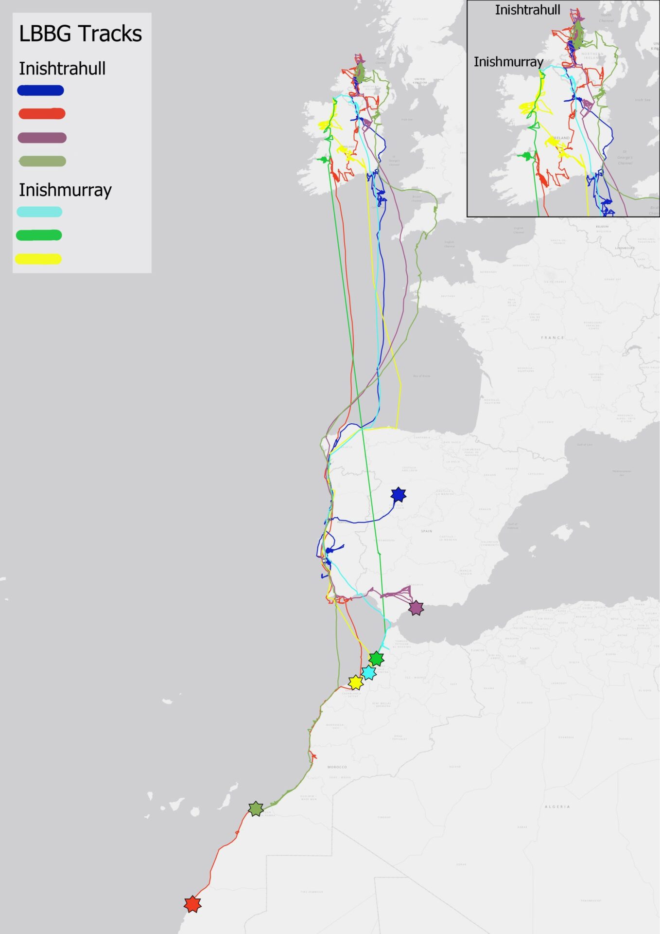 Map-of-LBBG-heading-south-2019-MarPAMM