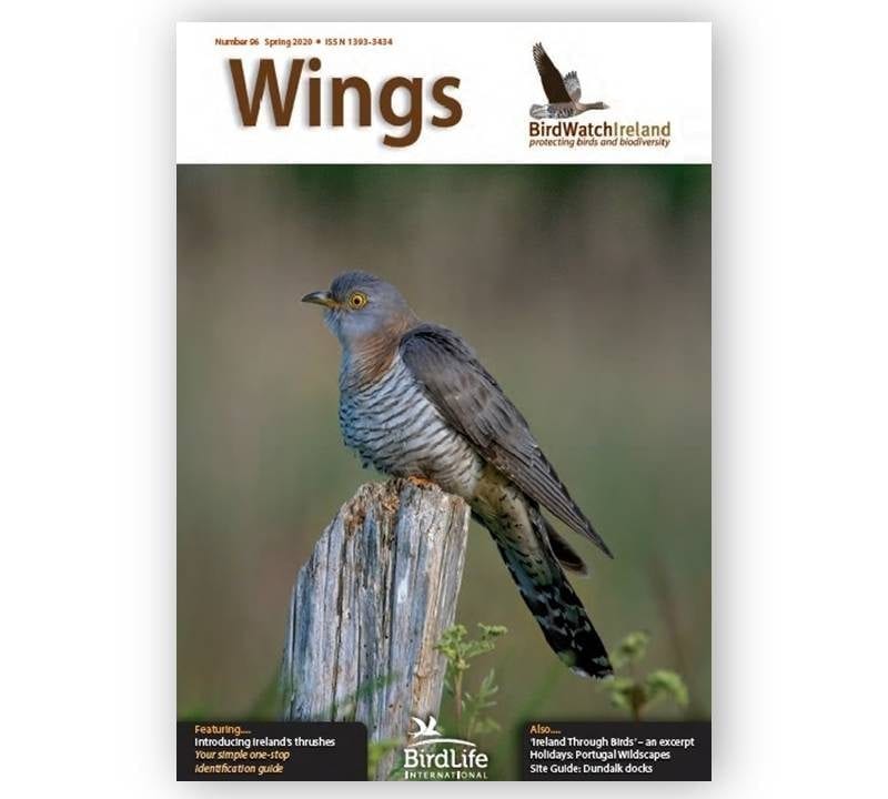 Wings-96-Landscape