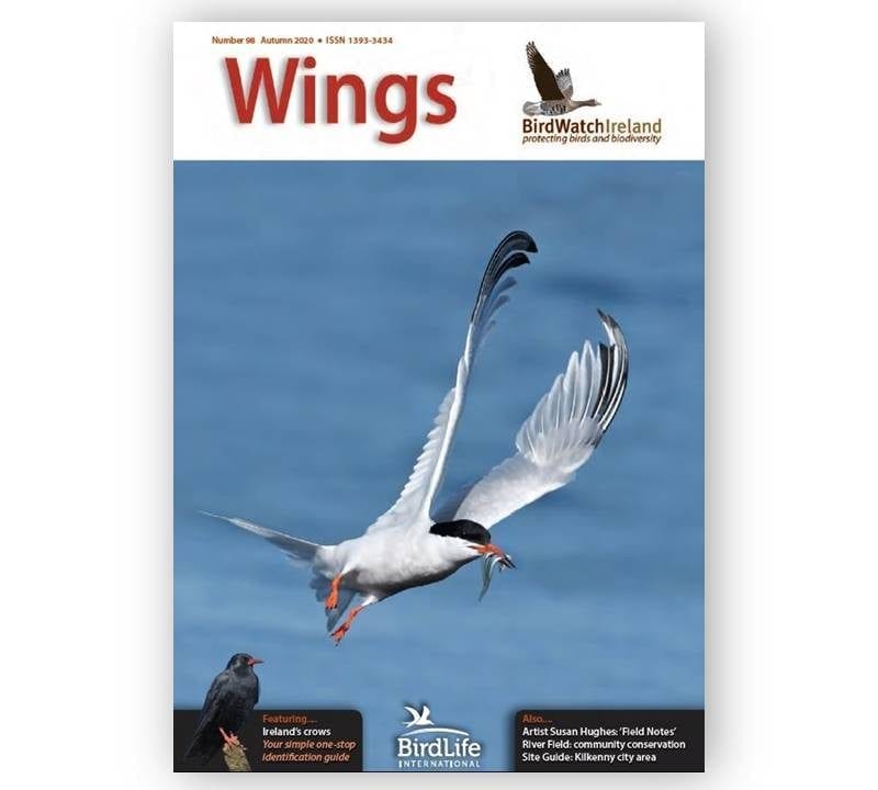 Wings-98-Landscape