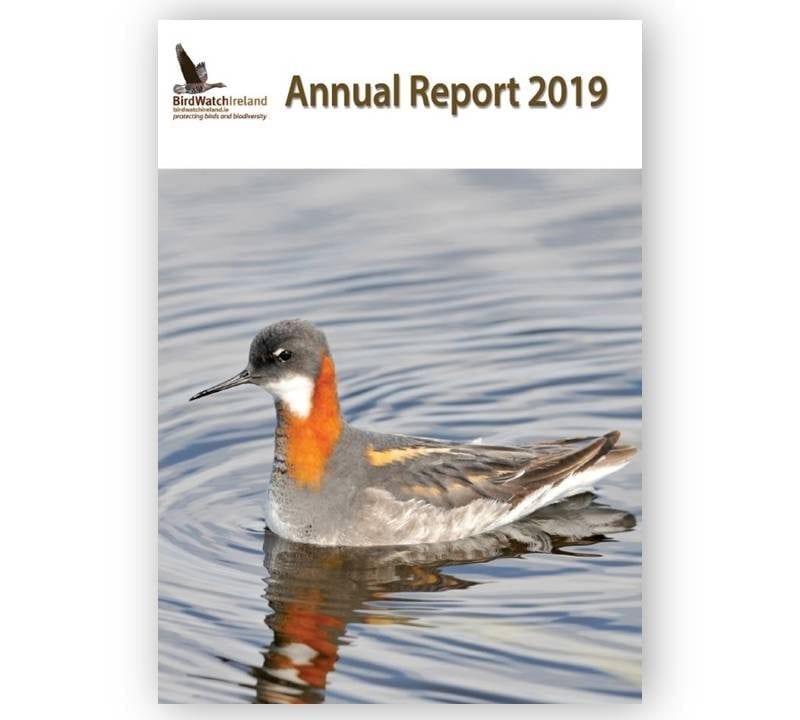 Cover of BirdWatch Ireland's 2019 Annual Report