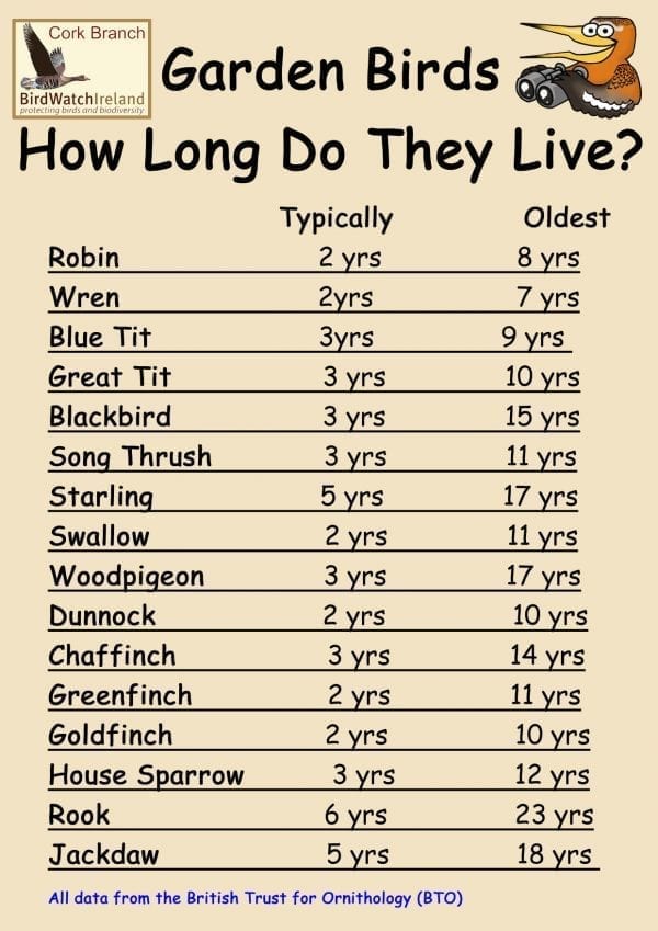 Irish Garden Birds 2020 How long do your garden birds live
