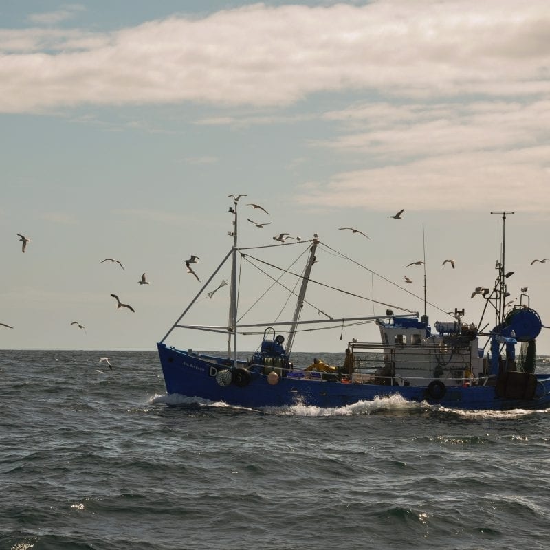 Fishing Boat (Philipp Hullmann)