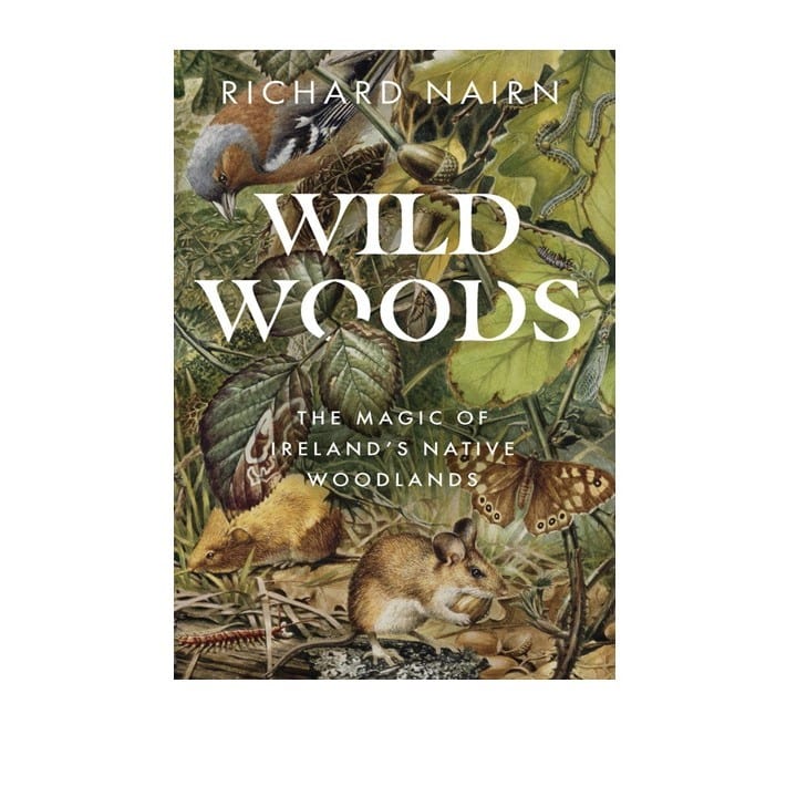 Wildwood by Richard Nairn