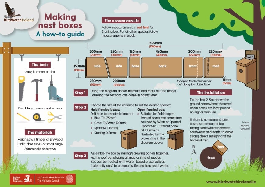 How Do Birds Choose Where to Nest? [Video] - Varment Guard Wildlife Services