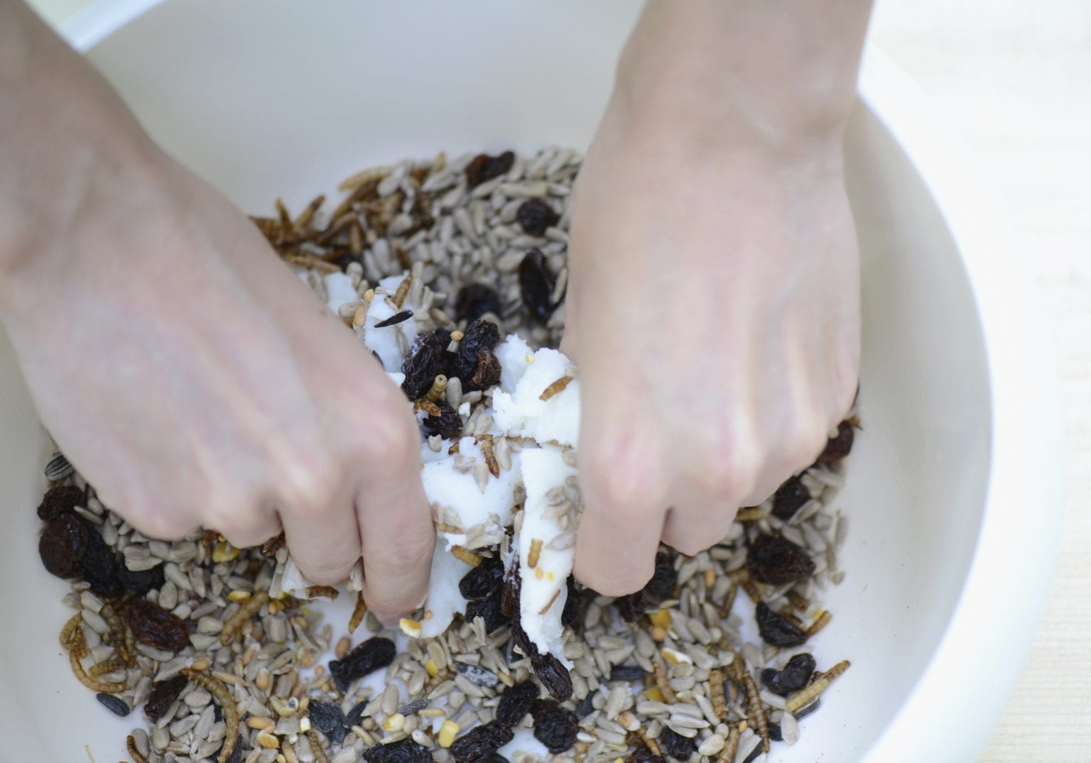 Make your own Fatballs for your Garden Birds BirdWatch Ireland