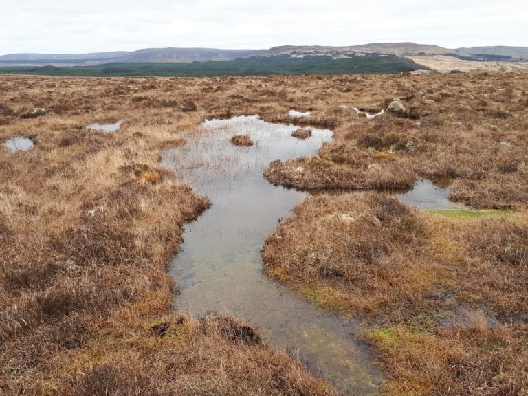 Ox Mountains Bog Habitat Improvement - BirdWatch Ireland