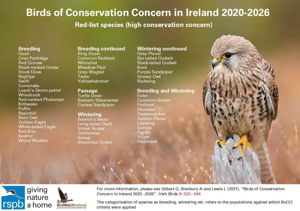 Birds of Conservation Concern in Ireland BirdWatch Ireland