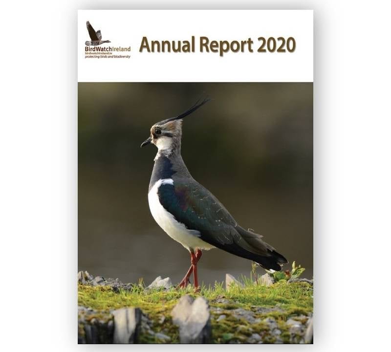 Cover of BirdWatch Ireland's 2020 Annual Report