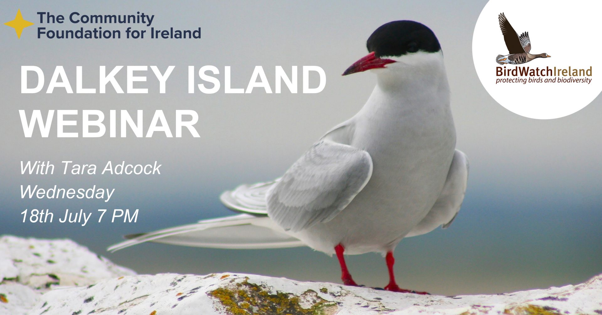 dalkey-island-webinar